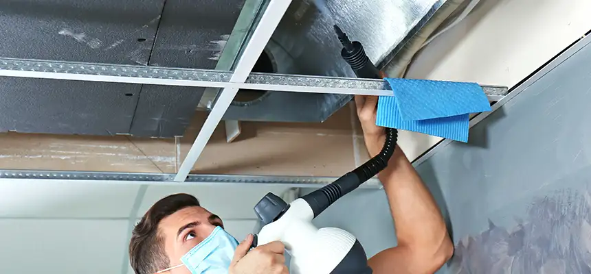 Our Air Duct Rodent Removal Services in Lewiston, ME