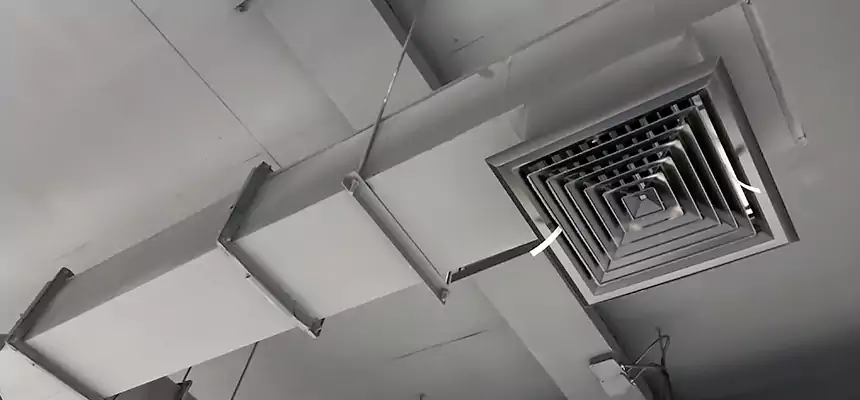 Our Rodent Droppings In Vents Services in Lewiston, ME