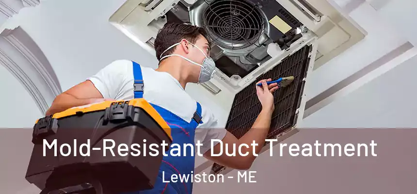 Mold-Resistant Duct Treatment Lewiston - ME