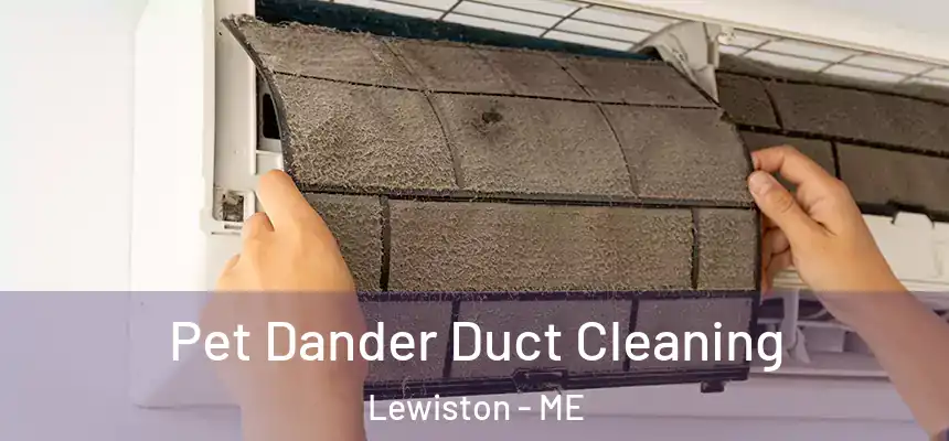 Pet Dander Duct Cleaning Lewiston - ME