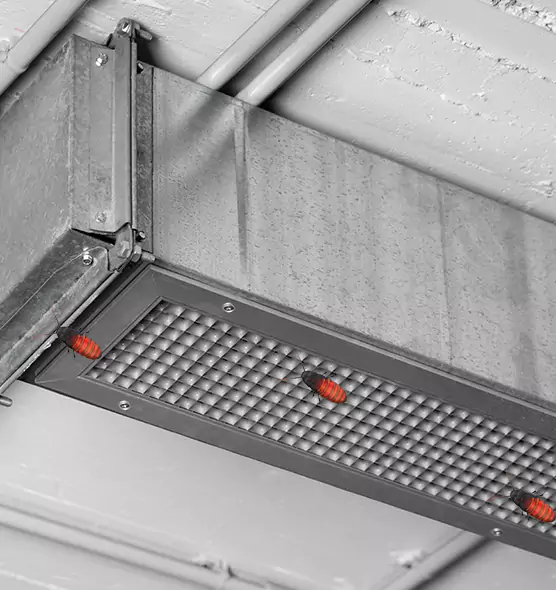 About Air Duct Cockroach Removal in Lewiston, ME