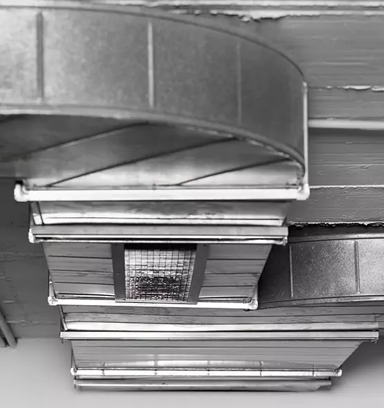 Professional Air Duct Pet Hair Removal in Lewiston, ME